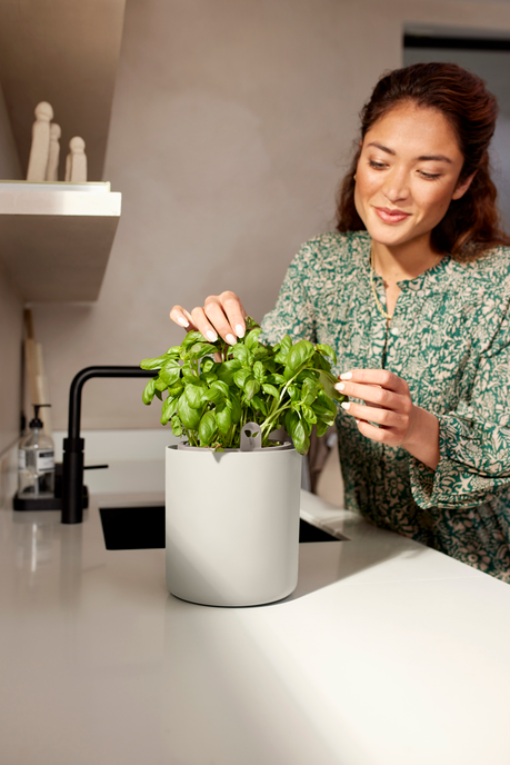 bouncy basil linen white